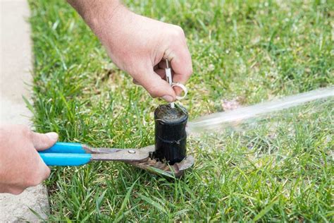 How to replace sprinkler head. Things To Know About How to replace sprinkler head. 
